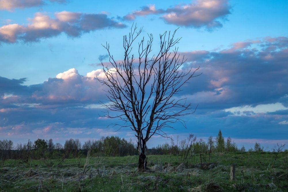 Photograph by Сергей Хабаров