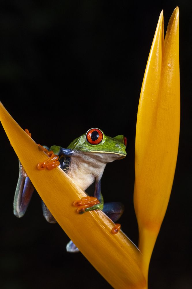 Photograph by Maria Gabriela Rocha Gomez