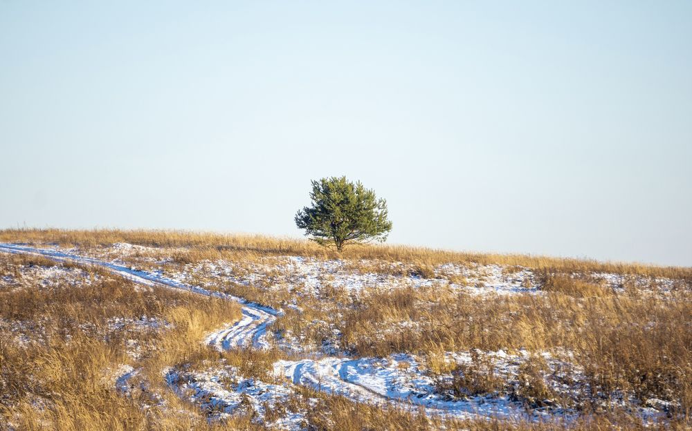 Photograph by Сергей Хабаров