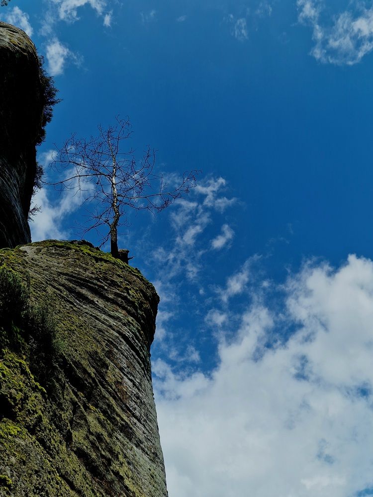 Фотография автора Maryna Pytliak