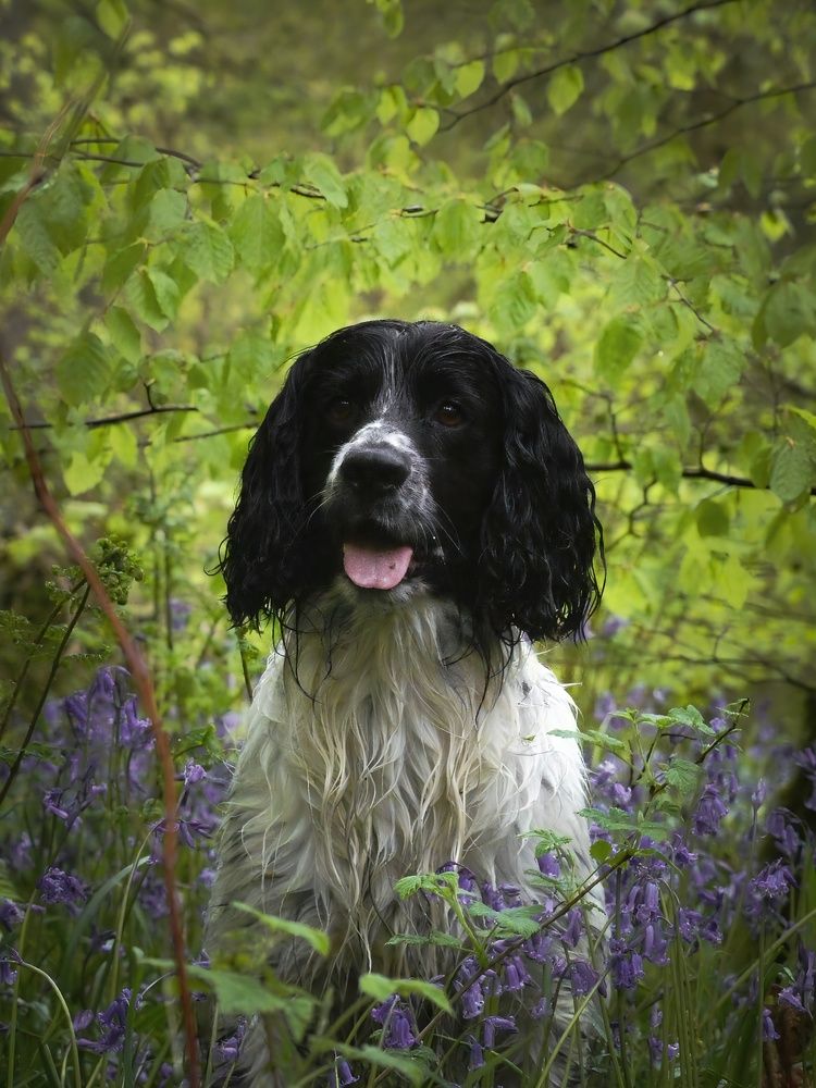 Фотография автора Michael Gault