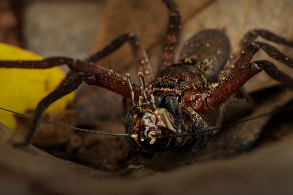 Фотография автора Tran Anh Tuan