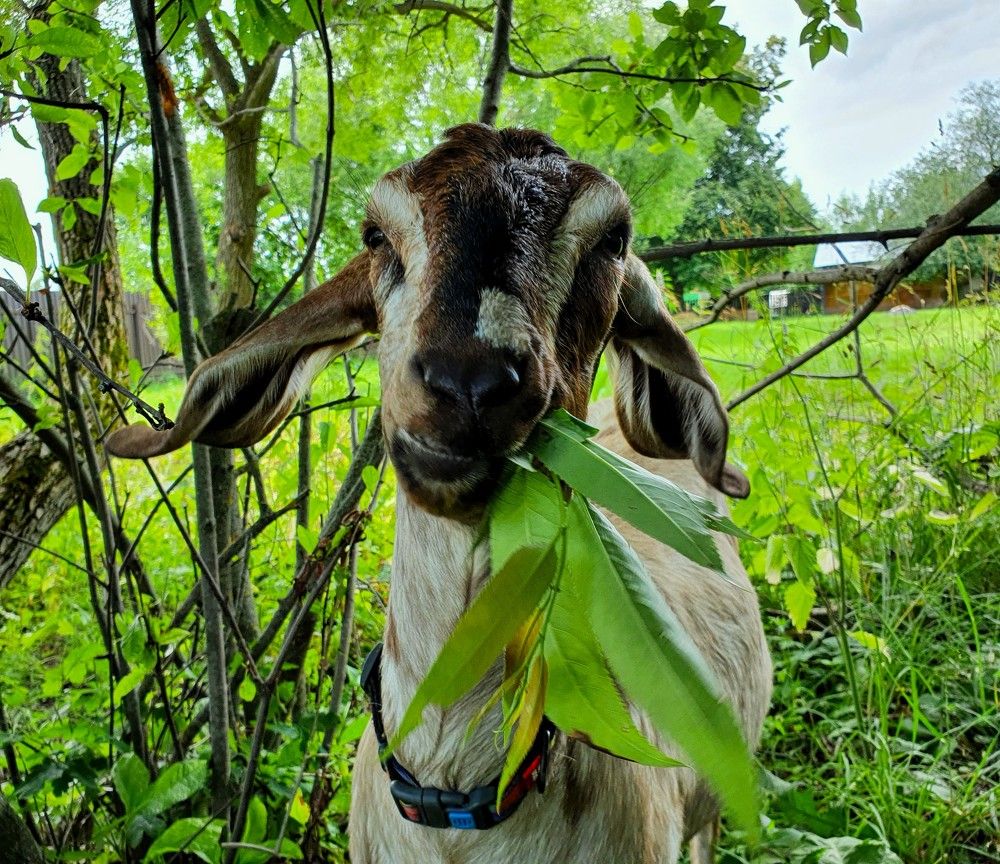 Photograph by Яна Галимуллина