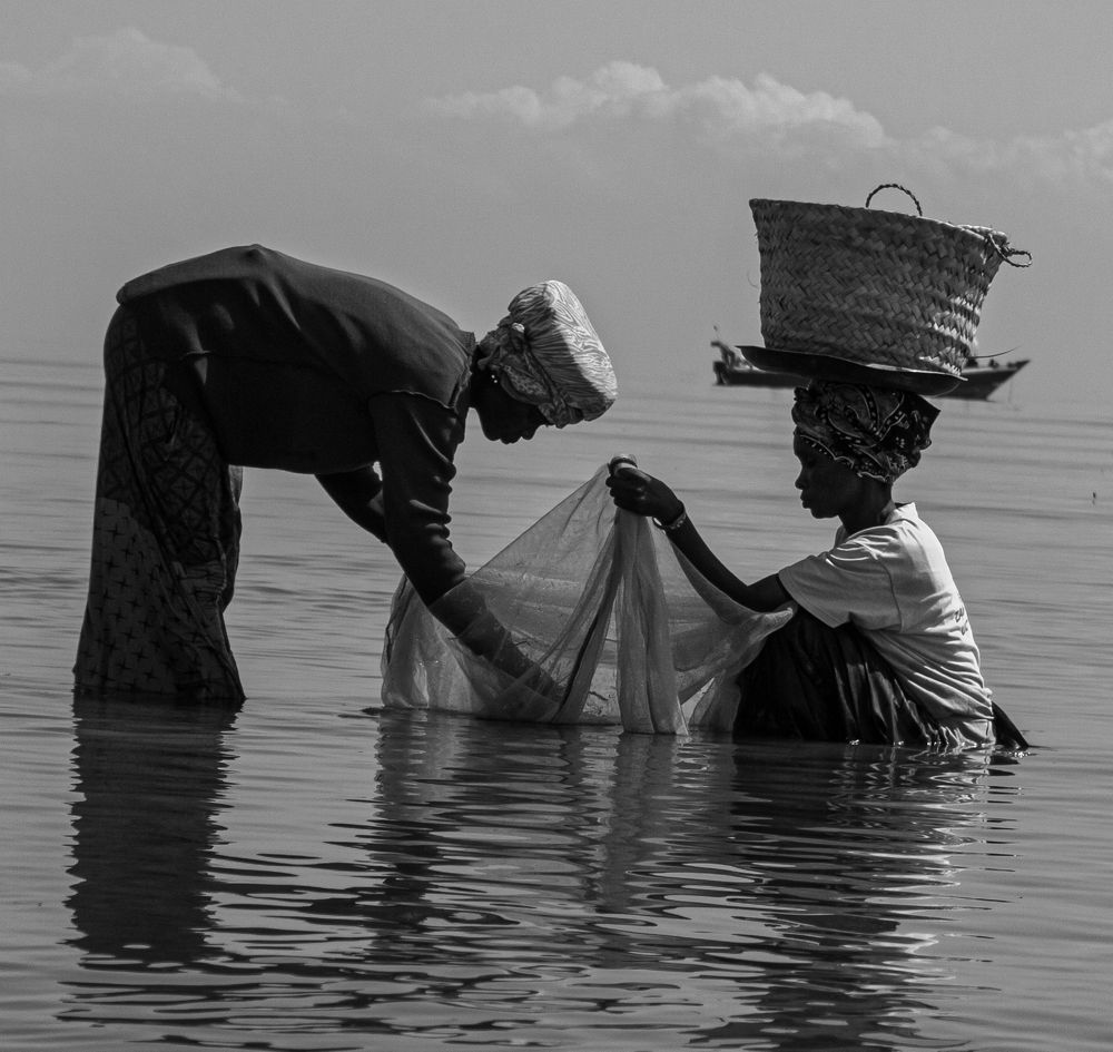 Photograph by Michael Albin