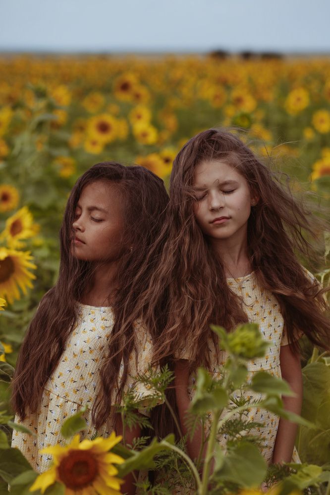 В море солнышек