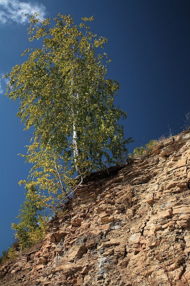 Фотография автора Серёга Ануфриев