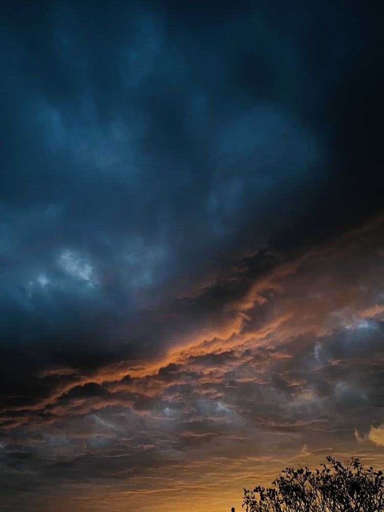 Photograph by Дарья Домникова