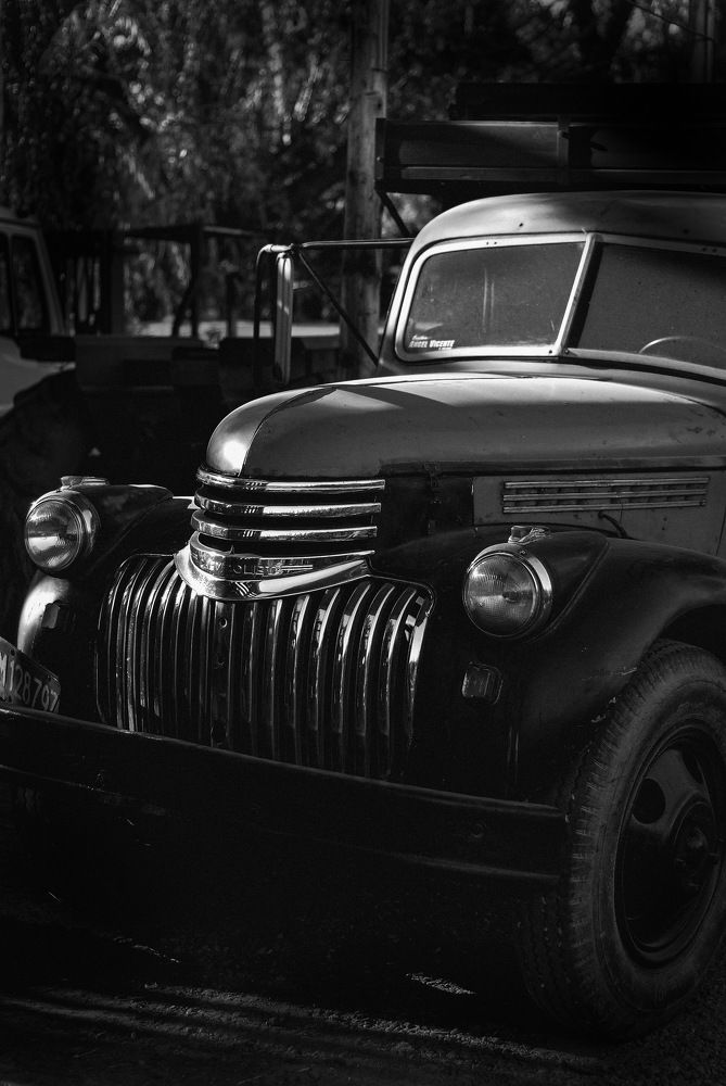 Photograph by Francisco