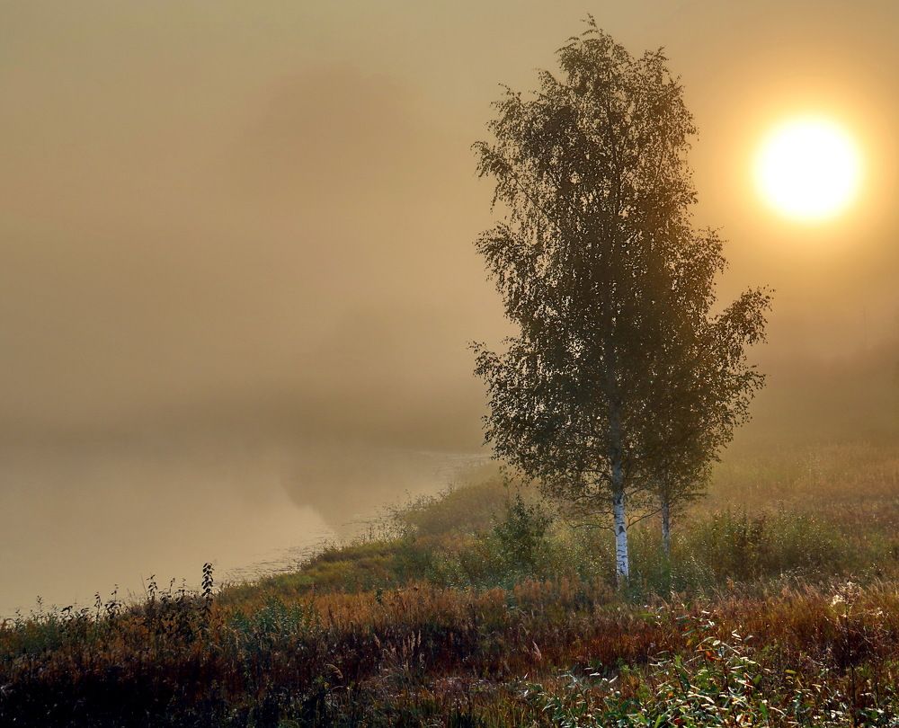 Photograph by 