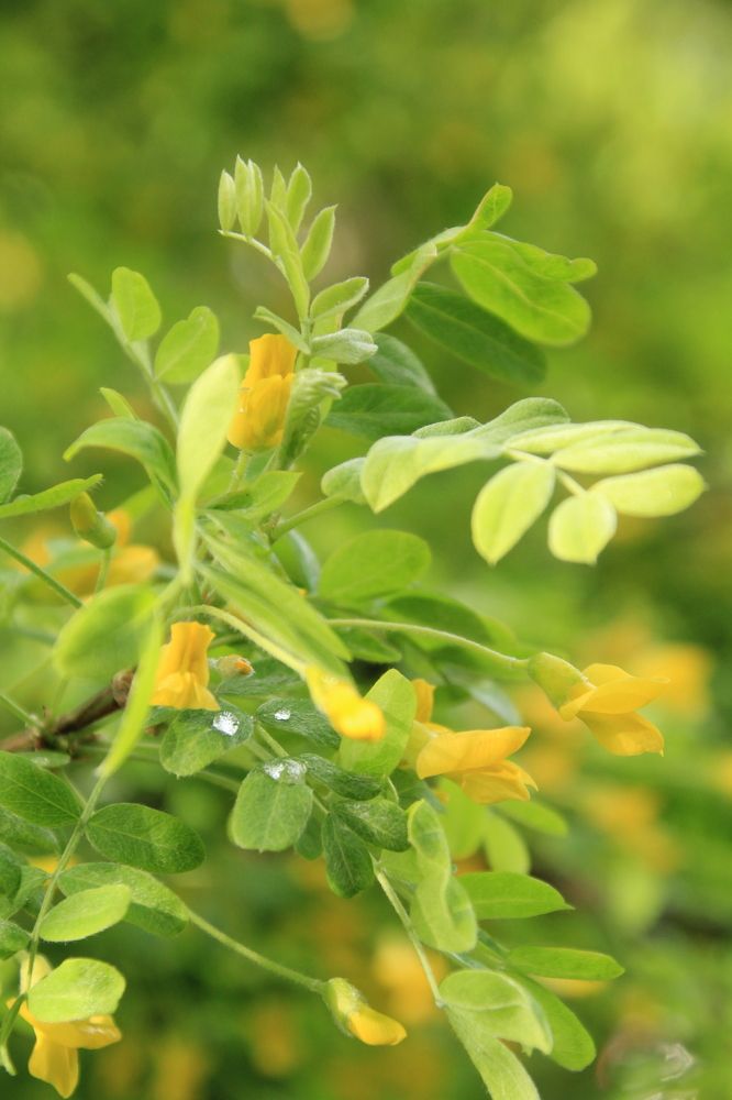 Photograph by Илья Беликов