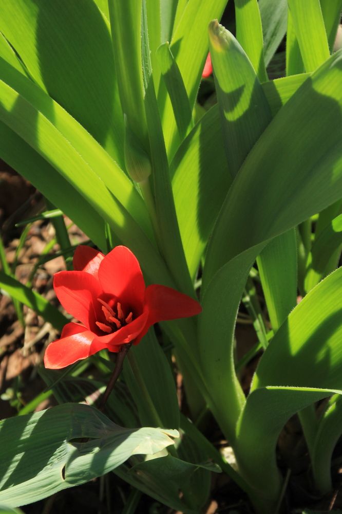 Photograph by Илья Беликов