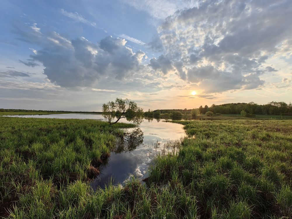 Photograph by Maiya Bulatova