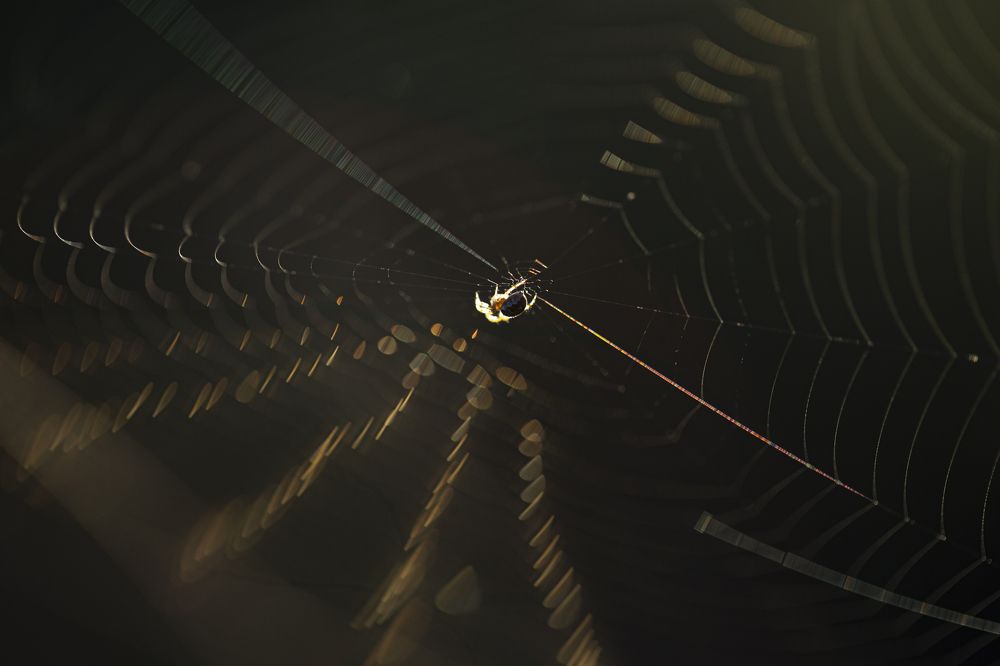 Photograph by Nazim Tetik