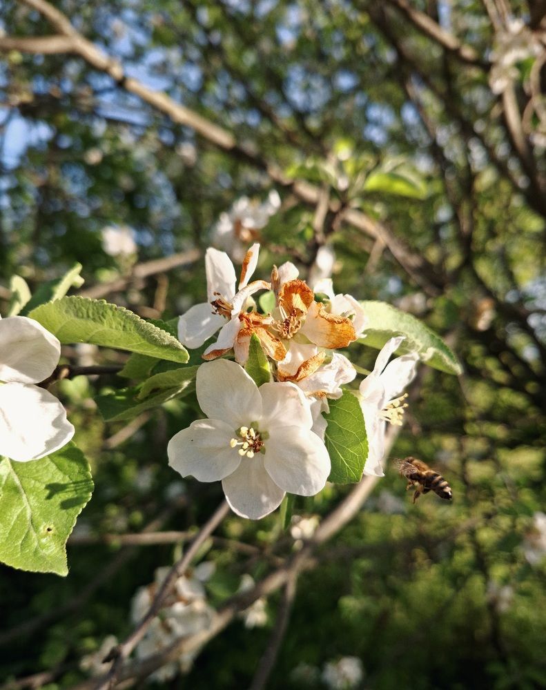 Photograph by Катерина Солдатова