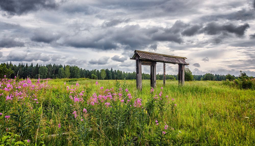 Photograph by Андреев Николай