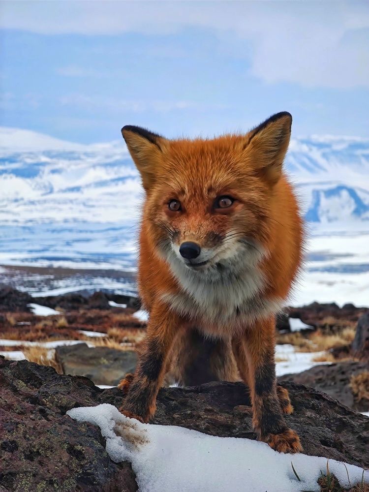 Photograph by Станислав