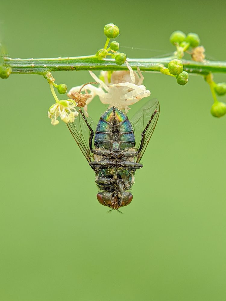Photograph by Akash Pani