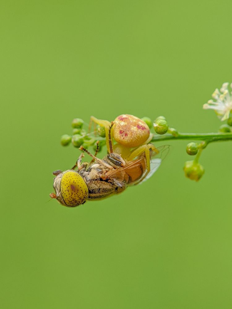 Photograph by Akash Pani