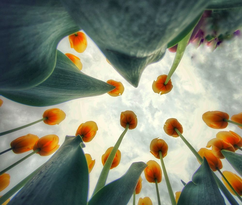 Photograph by Natalia Bolotenkova