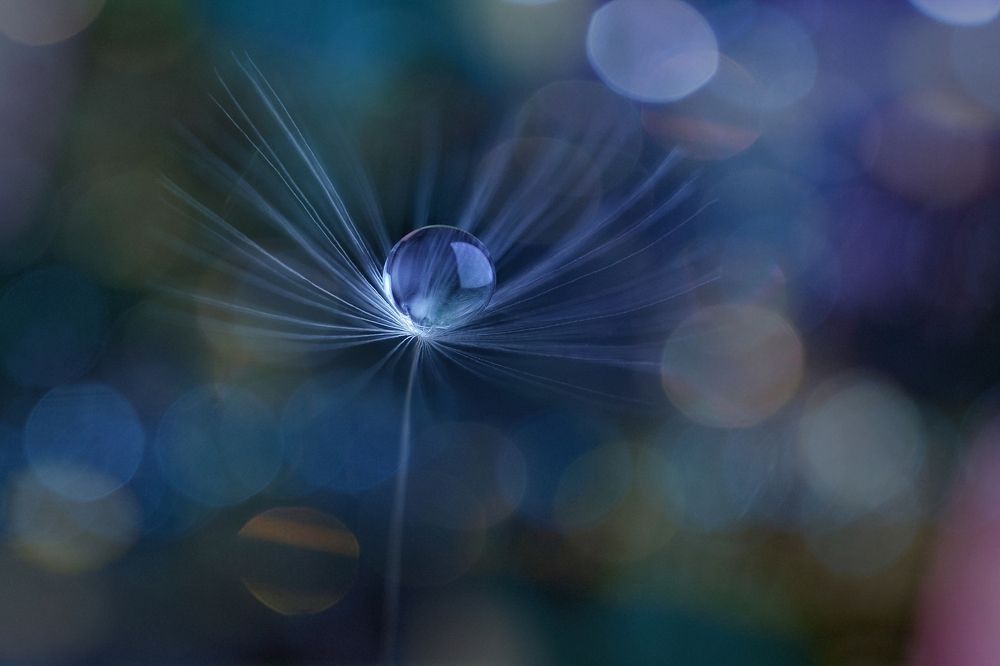 Photograph by Magic Helios