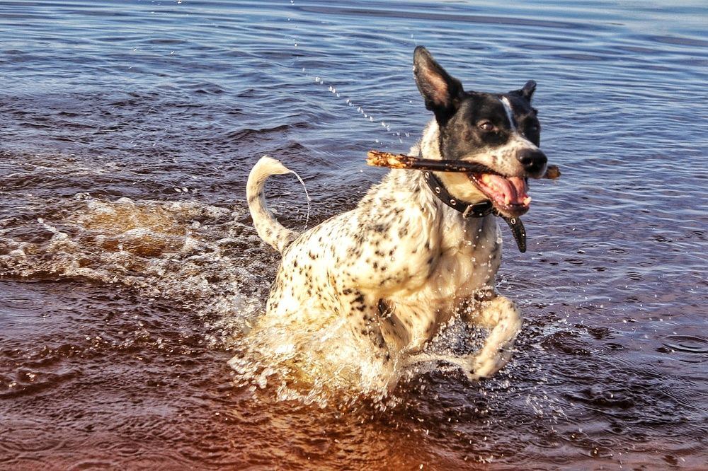 Photograph by Николай Круглов