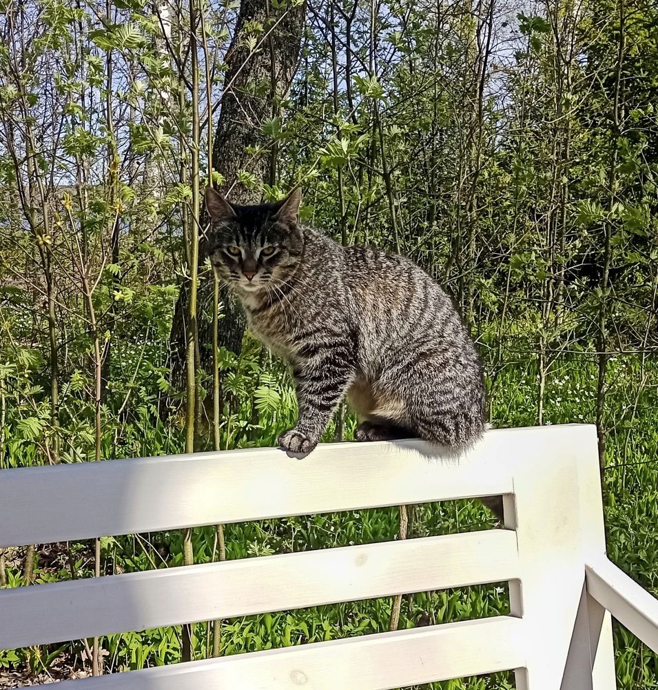 Photograph by Sergey Kurkov-Tarkovsky