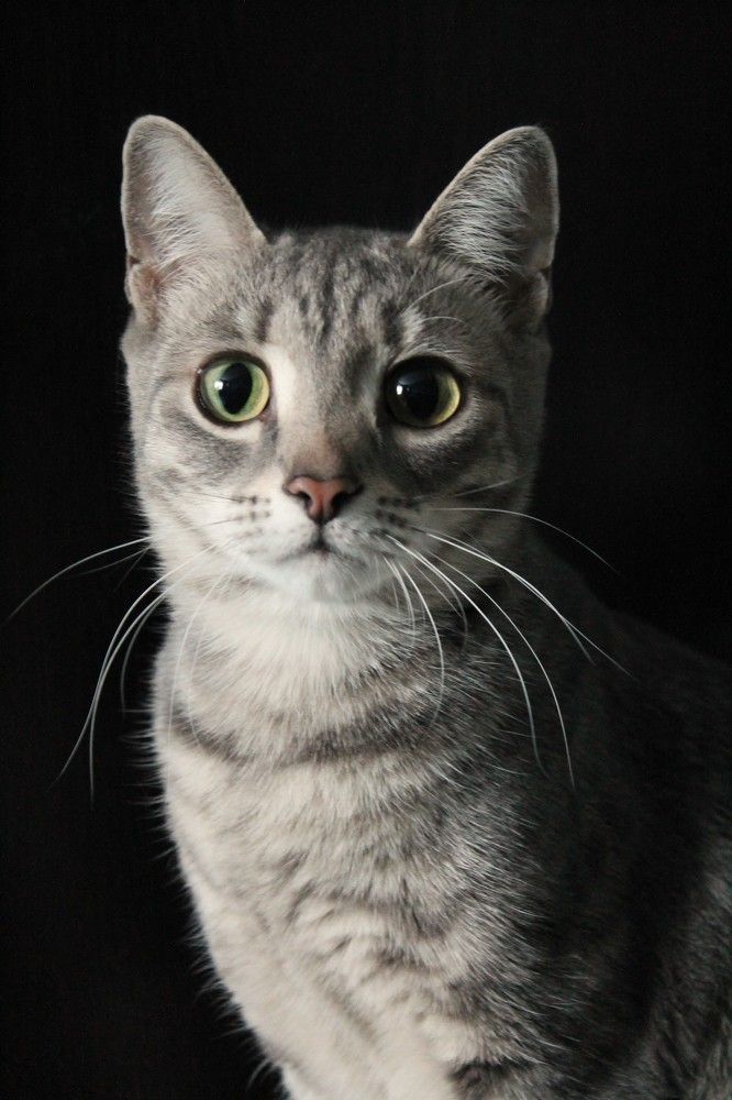 Photograph by Евгения Сараева