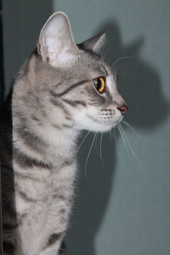 Photograph by Евгения Сараева