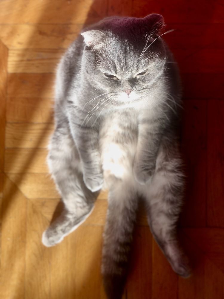 Photograph by Александр