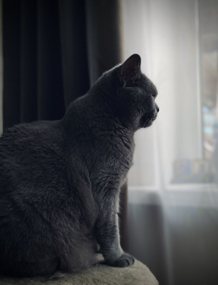 Photograph by Наталья Богаткина