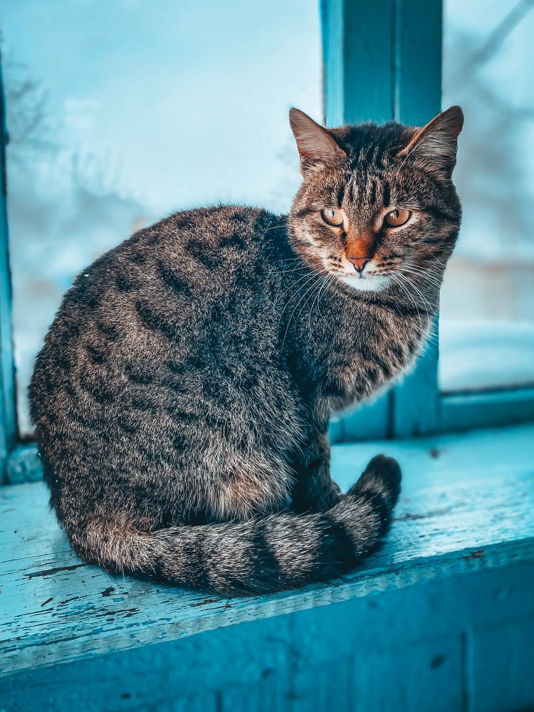 Photograph by Наталья Богаткина