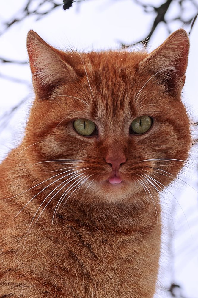 Фотография автора марина леоненко