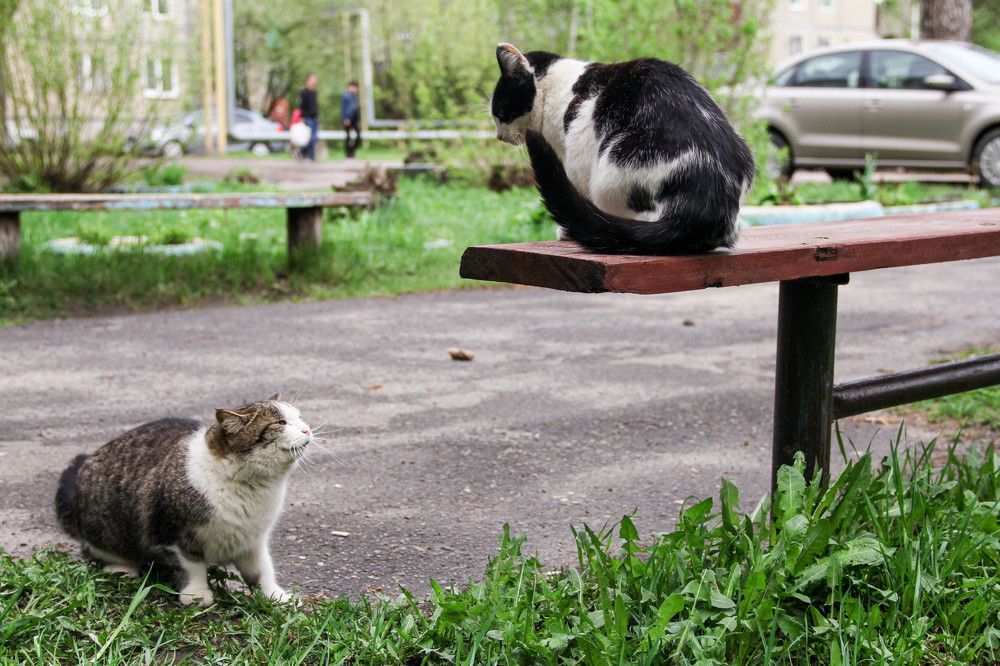 Photograph by Наташа Баукова