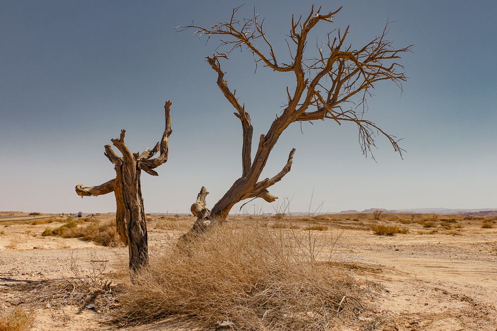 Photograph by Sergei Osintsev