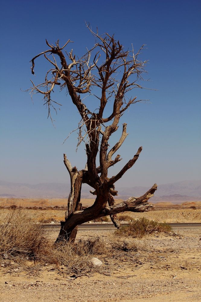 Photograph by Sergei Osintsev