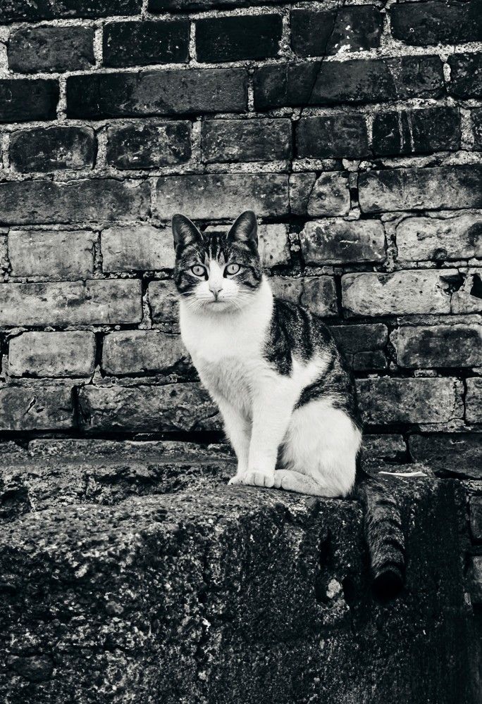 Photograph by Денис Терехин