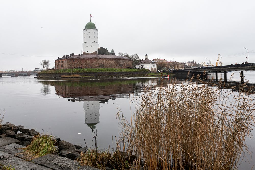 Photograph by Евгений Моляшов