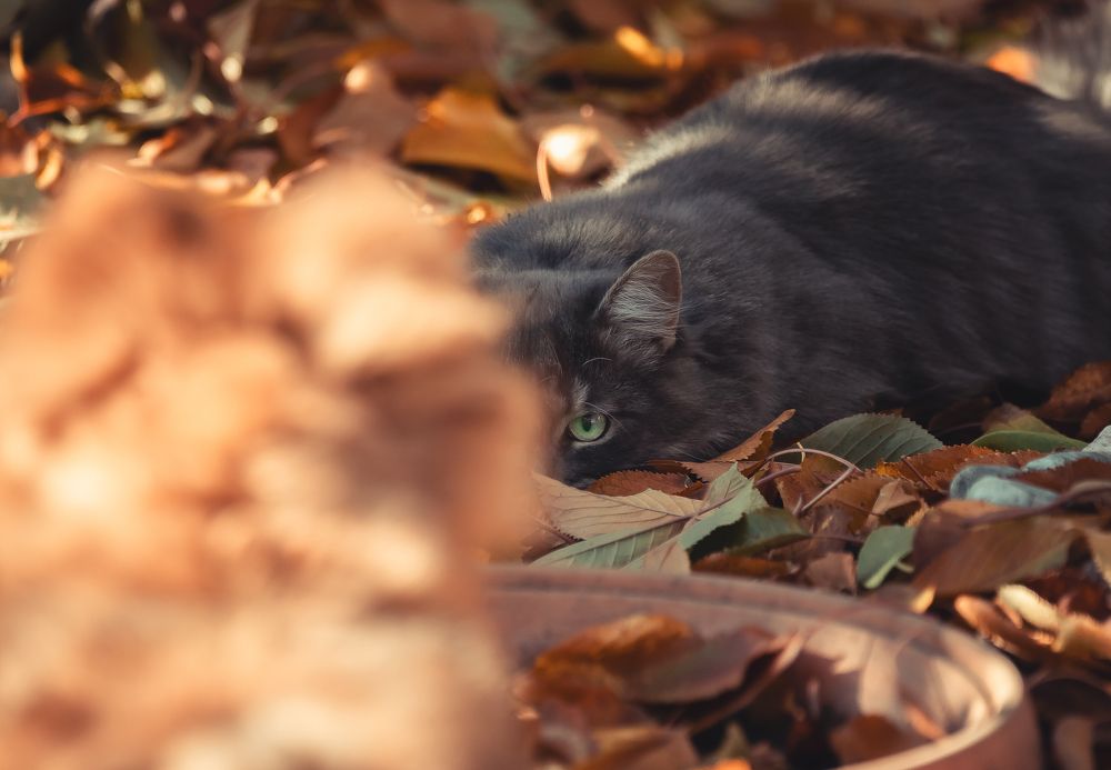 Photograph by Evgenia Loskutova