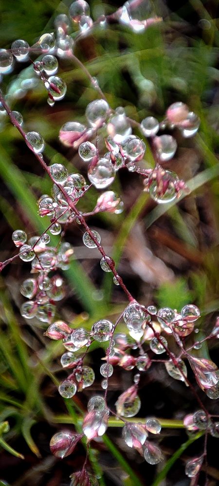 Фотография автора Оркина Ксения