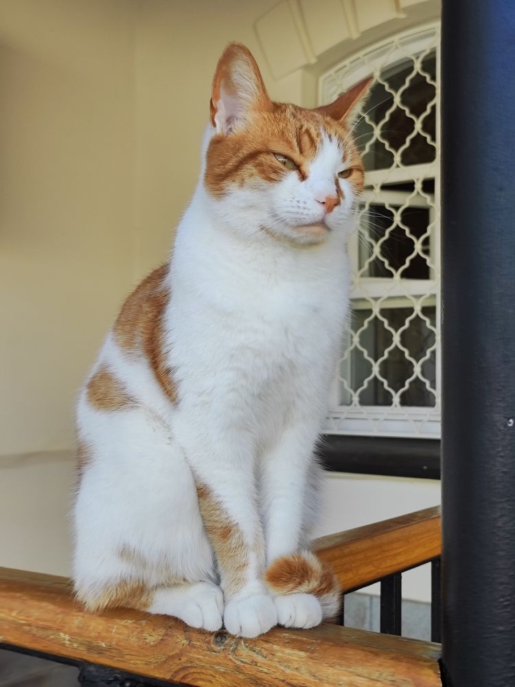 Photograph by Олеся Хижко