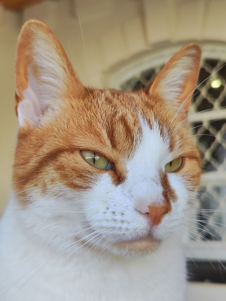 Photograph by Олеся Хижко