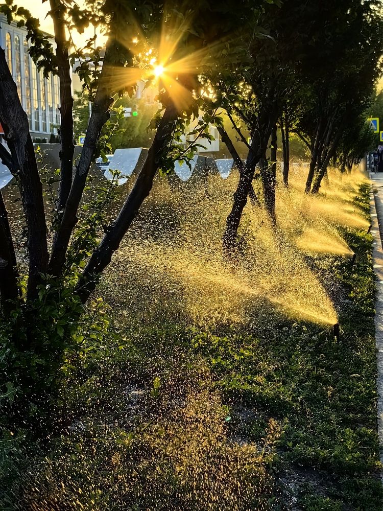 Photograph by Алексей Верзун