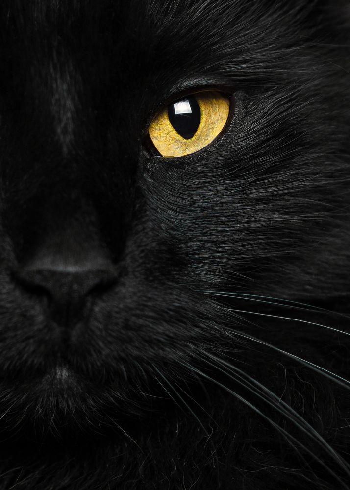 Фотография автора Людмила Яхно