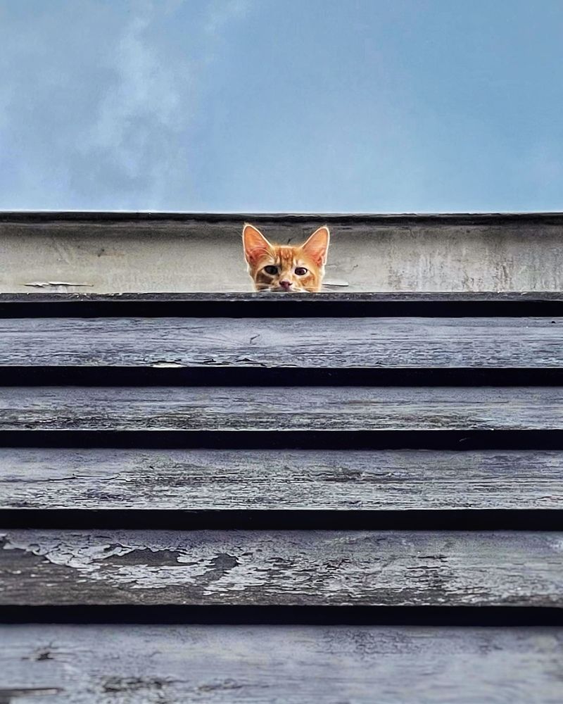 Photograph by Kenzou Sastra