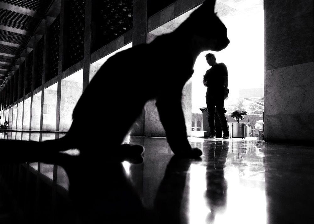 Photograph by Kenzou Sastra