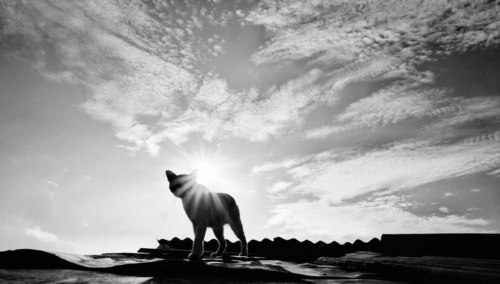 Photograph by Kenzou Sastra