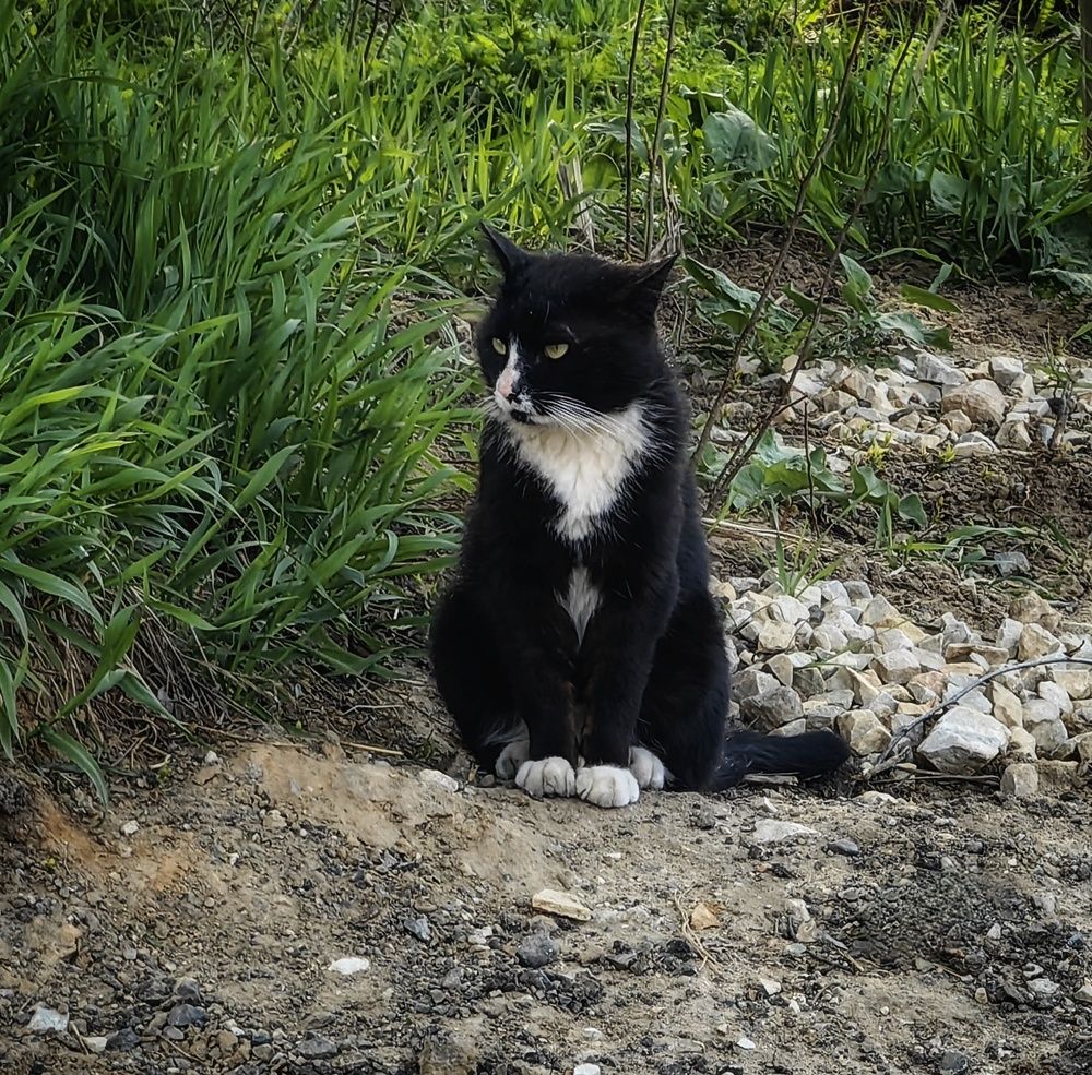 Photograph by Maiya Bulatova