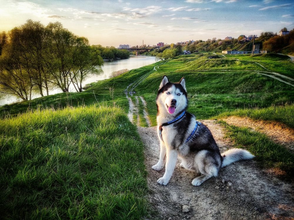 Photo #10671243