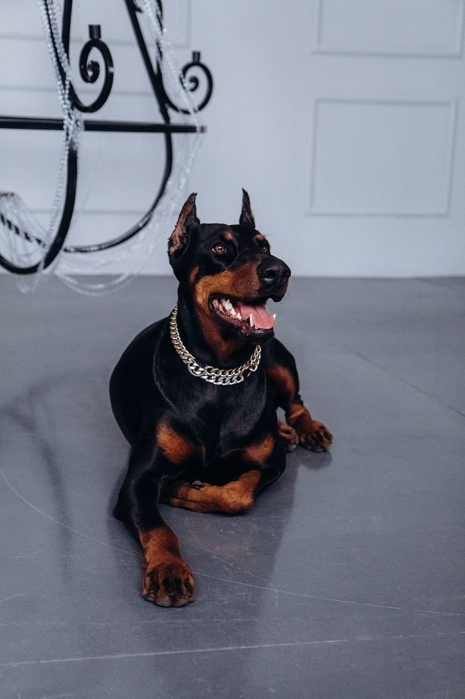 Photograph by Татьяна Мелехина