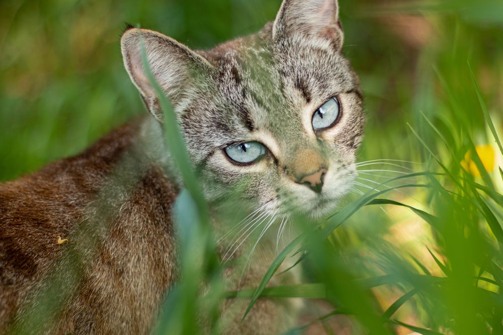 Photograph by Ирина Антонова